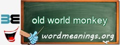 WordMeaning blackboard for old world monkey